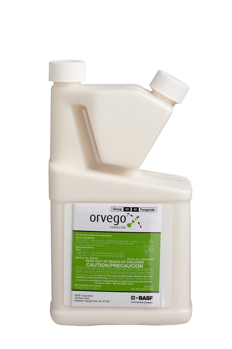 C-Orvego 28 oz Bottle - Chemicals